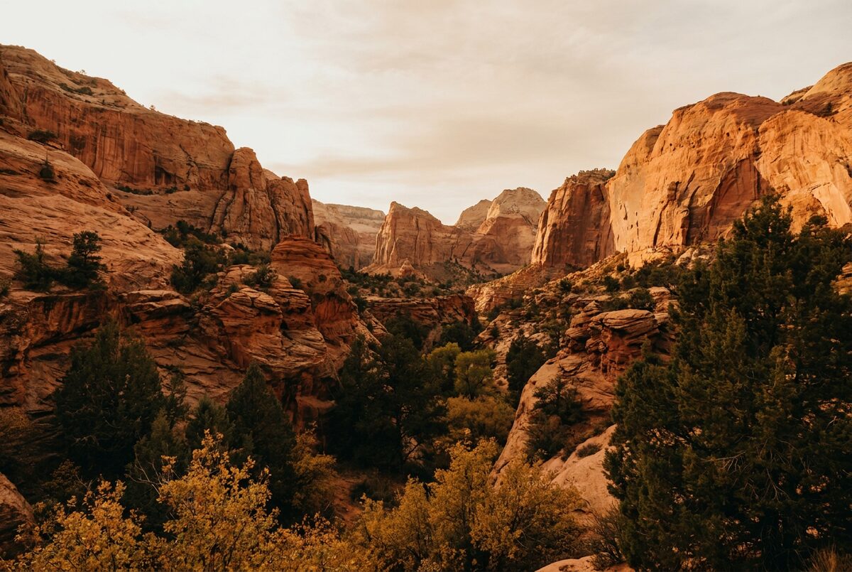 Red rock canyon at golden hour